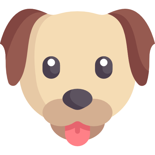 Cachorro